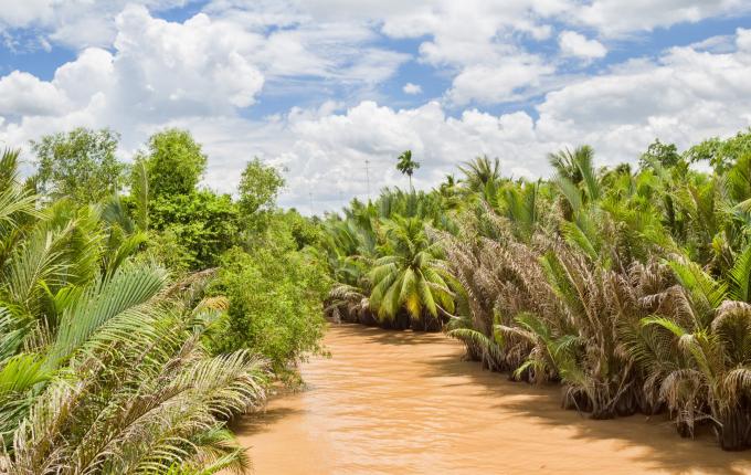 Mekong Delta