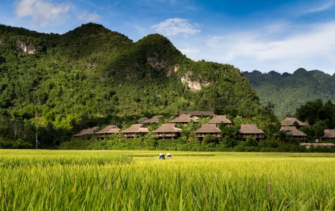 Mai Chau