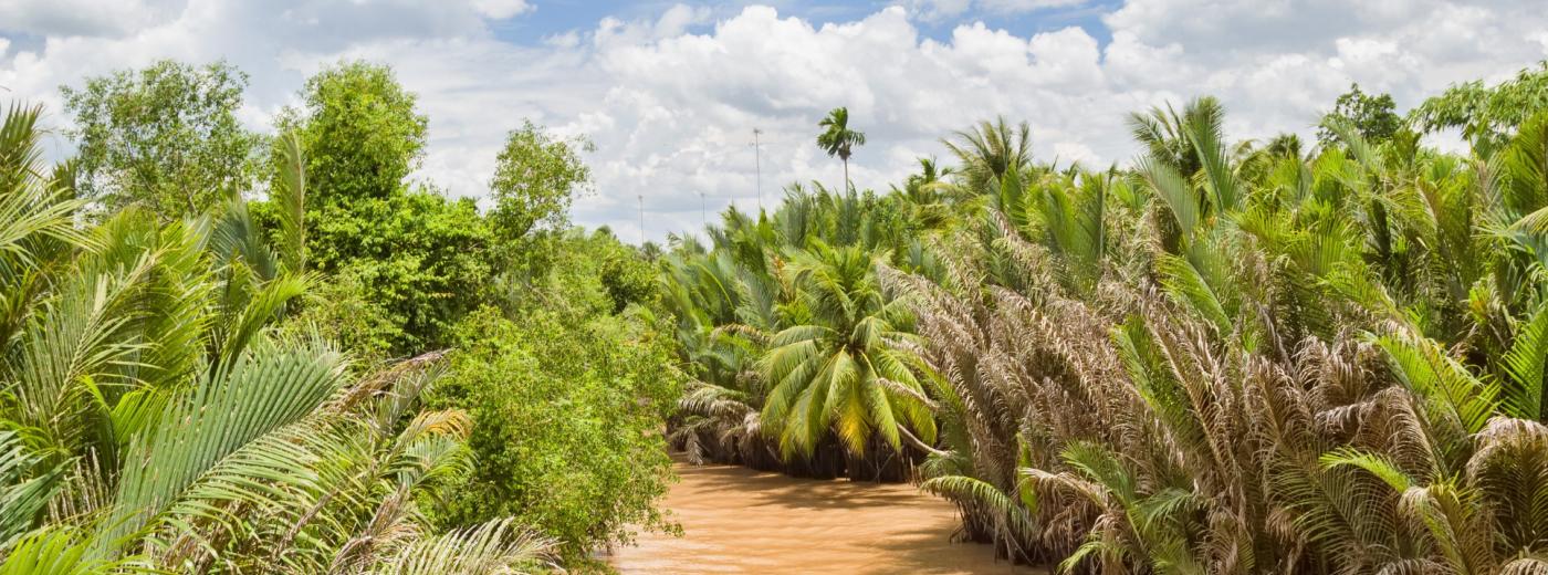 Mekong Delta