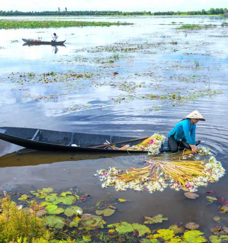 Mekong Delta